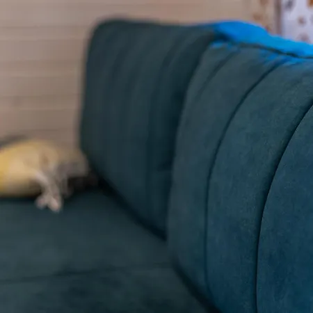 Domek letniskowy - Sosnowy