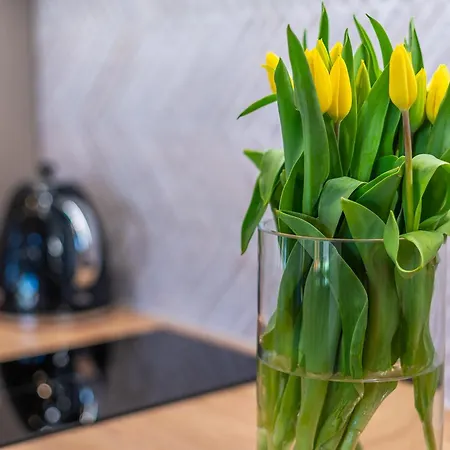 - Sosnowy Domek letniskowy