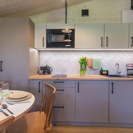 - Sosnowy Domek letniskowy *