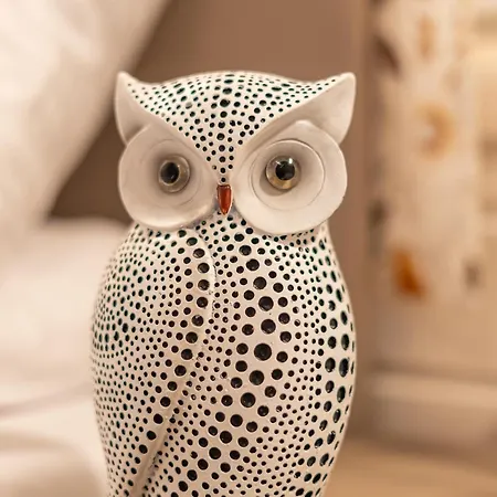 - Sosnowy Domek letniskowy *