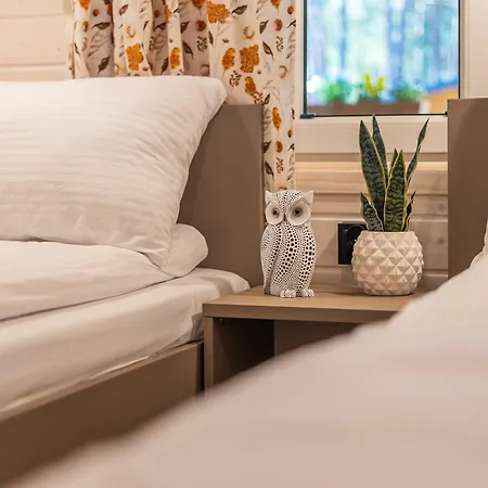 Domek letniskowy - Sosnowy *