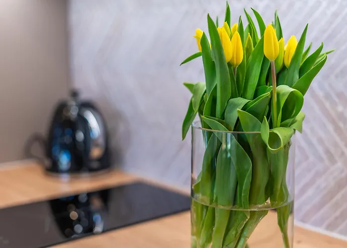 - Sosnowy Domek letniskowy