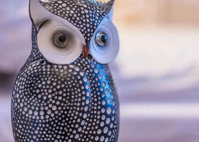 Domek letniskowy - Sosnowy Pobierowo