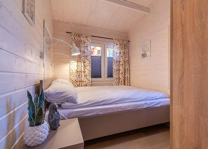 - Sosnowy Domek letniskowy